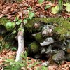 20101030_180